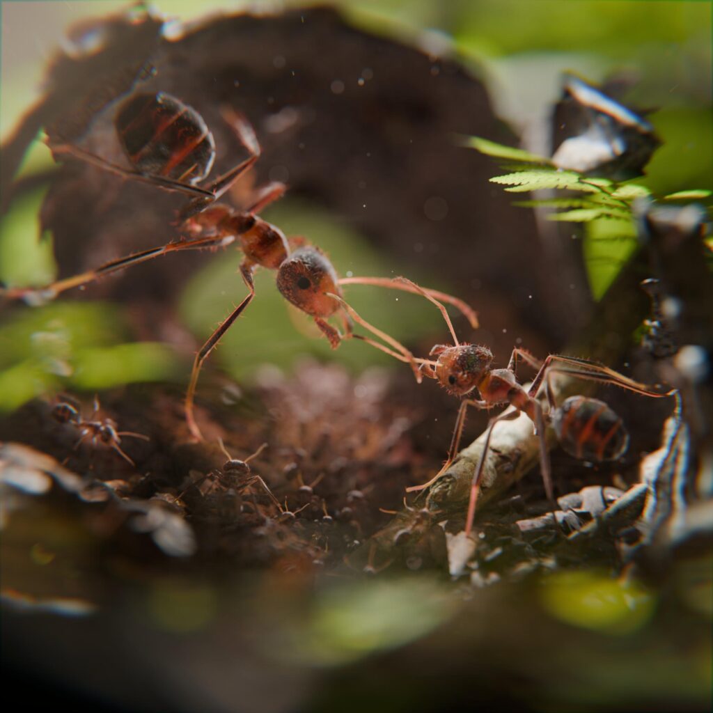 Ant Scene Final